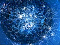 Открыты квантовые колебания микротрубочек внутри нейронов головного мозга